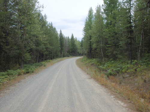 GDMBR: Southbound on Cold Creek Road, Montana.